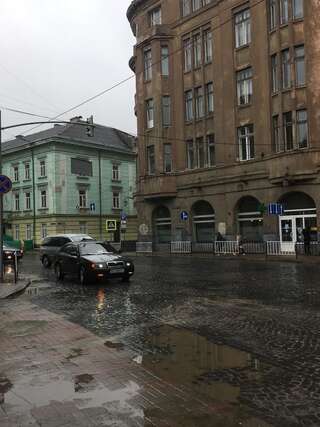 Апартаменты Romantik Eko Apartment Львов Апартаменты Делюкс-2