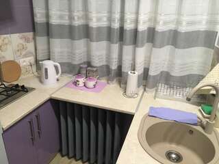 Апартаменты Romantik Eko Apartment Львов Апартаменты Делюкс-28