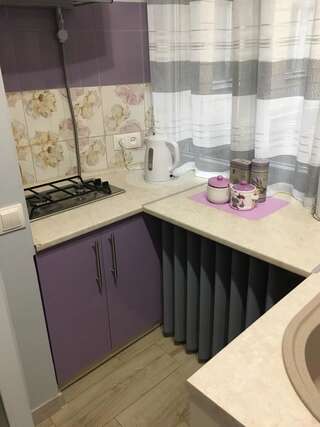 Апартаменты Romantik Eko Apartment Львов Апартаменты Делюкс-29