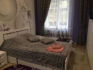 Апартаменты Romantik Eko Apartment Львов Апартаменты Делюкс-37