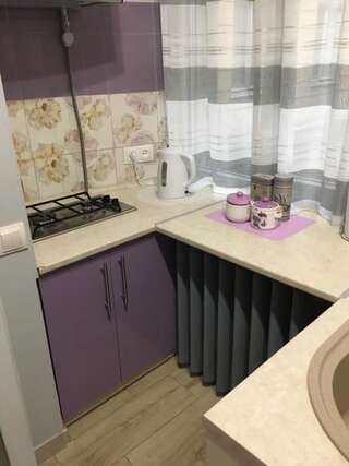 Апартаменты Romantik Eko Apartment Львов Апартаменты Делюкс-64